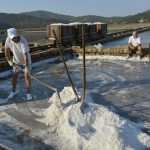 Video and Photo Gallery: We Spent a Day in a Saltern Ston Picking Up 'Fleur de Sel'... 19 Salt Collecting Ston 17