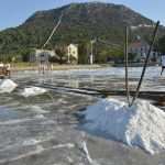 Video and Photo Gallery: We Spent a Day in a Saltern Ston Picking Up 'Fleur de Sel'... 21 Salt Collecting Ston 19