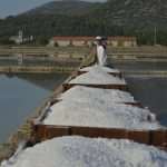 Video and Photo Gallery: We Spent a Day in a Saltern Ston Picking Up 'Fleur de Sel'... 23 Salt Collecting Ston 21