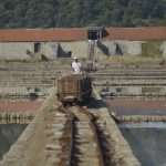 Video and Photo Gallery: We Spent a Day in a Saltern Ston Picking Up 'Fleur de Sel'... 27 Salt Collecting Ston 25