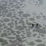 Video and Photo Gallery: We Spent a Day in a Saltern Ston Picking Up 'Fleur de Sel'... 42 Salt Collecting Ston 40