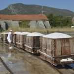 Video and Photo Gallery: We Spent a Day in a Saltern Ston Picking Up 'Fleur de Sel'... 43 Salt Collecting Ston 41