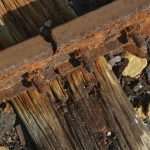 Video and Photo Gallery: We Spent a Day in a Saltern Ston Picking Up 'Fleur de Sel'... 47 Salt Collecting Ston 45