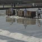 Video and Photo Gallery: We Spent a Day in a Saltern Ston Picking Up 'Fleur de Sel'... 50 Salt Collecting Ston 48