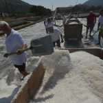 Video and Photo Gallery: We Spent a Day in a Saltern Ston Picking Up 'Fleur de Sel'... 60 Salt Collecting Ston 58