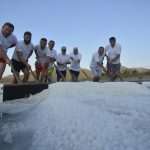 Video and Photo Gallery: We Spent a Day in a Saltern Ston Picking Up 'Fleur de Sel'... 8 Salt Collecting Ston 6