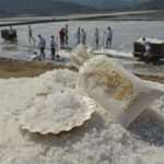 Video and Photo Gallery: We Spent a Day in a Saltern Ston Picking Up 'Fleur de Sel'... 64 Salt Collecting Ston 62