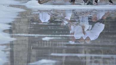 Video and Photo Gallery: We Spent a Day in a Saltern Ston Picking Up 'Fleur de Sel'... 1 Salt Collecting Ston 65