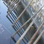 Video and Photo Gallery: We Spent a Day in a Saltern Ston Picking Up 'Fleur de Sel'... 11 Salt Collecting Ston 9