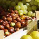 Photo Gallery: The Autumn Vibe on Dubrovnik's Green Market 12 Autumn on Market 12