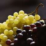 Photo Gallery: The Autumn Vibe on Dubrovnik's Green Market 14 Autumn on Market 14