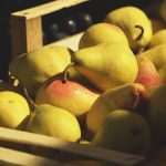 Photo Gallery: The Autumn Vibe on Dubrovnik's Green Market 15 Autumn on Market 15