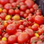 Photo Gallery: The Autumn Vibe on Dubrovnik's Green Market 21 Autumn on Market 21