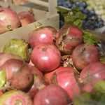 Photo Gallery: The Autumn Vibe on Dubrovnik's Green Market 22 Autumn on Market 22