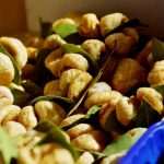 Photo Gallery: The Autumn Vibe on Dubrovnik's Green Market 23 Autumn on Market 23