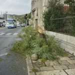 Video & Photo Gallery: Chaos on the Road(s) 4 Chaos on Roads Rain 4