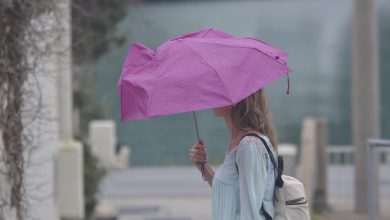 Photo Gallery: First Rainy Day After a Loooong Time 1 Rain 1