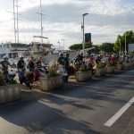 Video & Photo Gallery: Vespa Club Dubrovnik Meeting 8 Vespa Club Annual Meeting 8