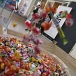 The Grand Opening of the Dubrovnik Film Festival 17 Dubrovnik Film Festival 17