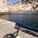 Meet the Sweetest Couple: Ernst Ingo Siegfried Bär and Mimi 1 Ernst the Bear and Mimi the Cat 1