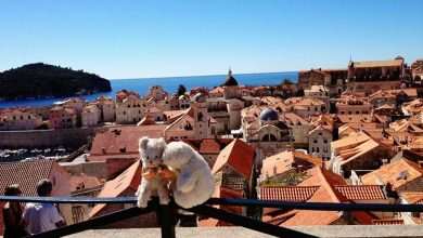 Meet the Sweetest Couple: Ernst Ingo Siegfried Bär and Mimi 1 Ernst the Bear and Mimi the Cat 3