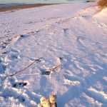 Meet the Sweetest Couple: Ernst Ingo Siegfried Bär and Mimi 4 Mimi and Ernst 1