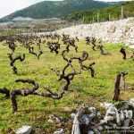 Amico Tours Excursions 2