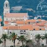 Amico Tours Excursions 3