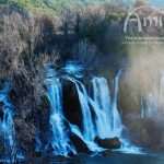 Amico Tours Excursions 4