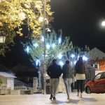 Photo Gallery: City of Lights 20 City of Lights Christmas 20