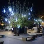 Photo Gallery: City of Lights 26 City of Lights Christmas 26