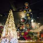 Photo Gallery: Winter in Dubrovnik Through the Lenses of Dubravko Lenert 31 Dubrovnik Winter