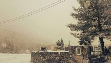 Konavle Region Looks Like a Magical Place Covered in Snow 28 Snowy Konavle 02