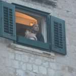 Video & Photo Gallery: Dubrovnik Welcomes Its Patron Saint 25 Candle Mass 1046 Festa 33