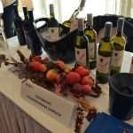 Photo Gallery: The Magical Taste of Our Local Wines 30 Dubrovnik Sun Gardens Wine Meeting 30