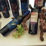 Photo Gallery: The Magical Taste of Our Local Wines 31 Dubrovnik Sun Gardens Wine Meeting 31