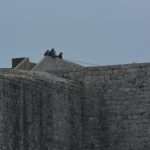 Game of Thrones Last Scenes 3