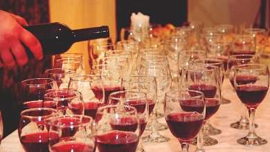 Thrilling News: Did You Know That Konavle Has a Brand New Wine Variety? 3 New Wine Variety Konavle 13