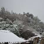 Snow Fairy Tale Dubrovnik 10