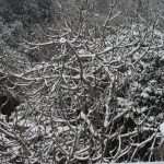 Snow Fairy Tale Dubrovnik 11