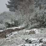 Snow Fairy Tale Dubrovnik 12