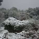 Snow Fairy Tale Dubrovnik 13