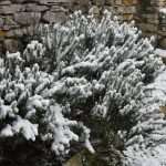 Snow Fairy Tale Dubrovnik 17