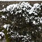 Snow Fairy Tale Dubrovnik 18