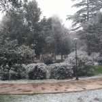 Snow Fairy Tale Dubrovnik 21