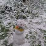 Snow Fairy Tale Dubrovnik 25