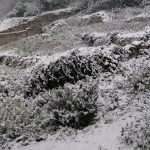 Snow Fairy Tale Dubrovnik 27