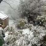 Video & Photo Gallery: Dubrovnik Surroundings Under the White Cover 12 Snow Peljesac 5