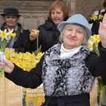 Photo Gallery: Why There Are so Many People With Daffodills Around? 11 Daffodills 11