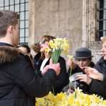 Photo Gallery: Why There Are so Many People With Daffodills Around? 2 Daffodills 2